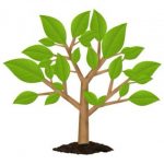 همه چیز در مورد درخت تصمیم (Decision Tree)