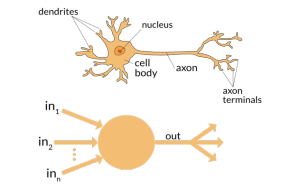نورون‌ها