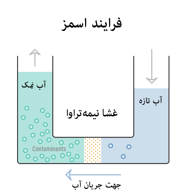 osmosis process