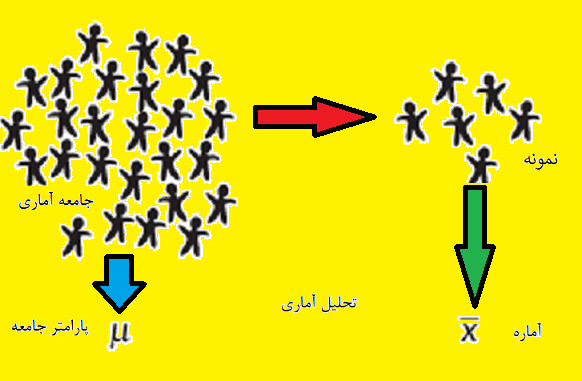 sample and population decision