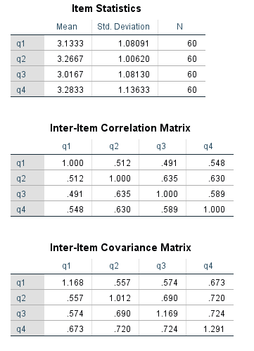 alpha cronbach calculation output2