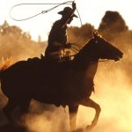 رگرسیون لاسو (Lasso Regression) – به زبان ساده