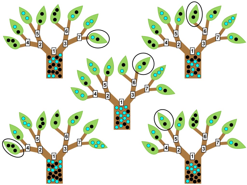 درخت تصمیم و جنگل تصادفی در R — راهنمای کاربردی