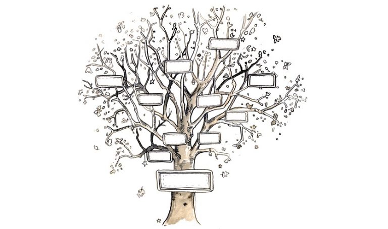 درخت در گراف — به زبان ساده
