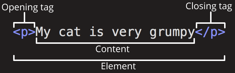 Anatomy of an HTML element Section
