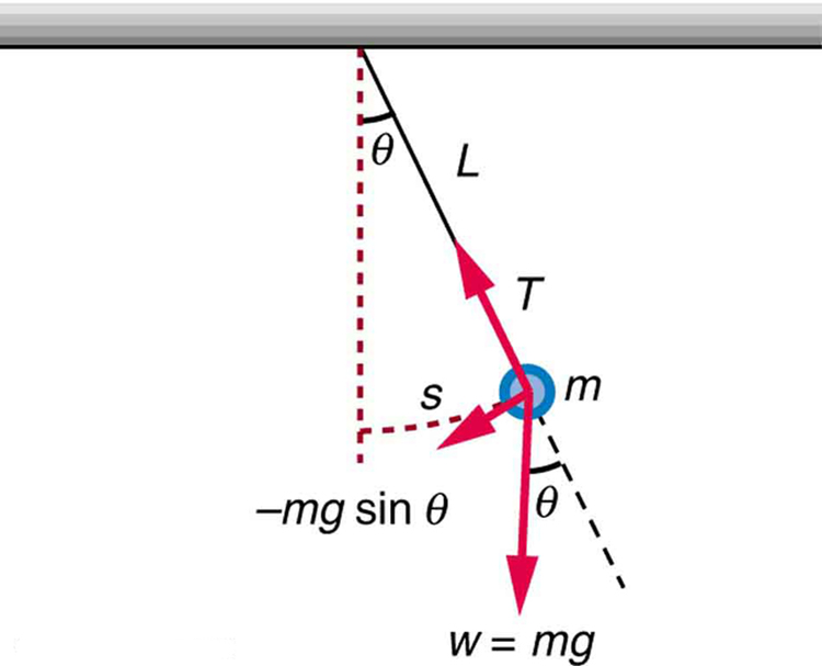 simple-pendulum