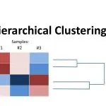 خوشه بندی سلسله مراتبی در SPSS — راهنمای کاربردی