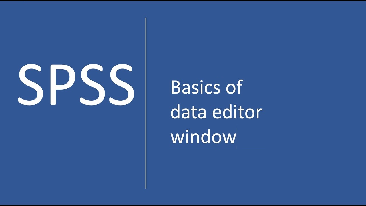 spss data editor