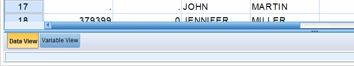 spss-data-view-and-variable-view-tabs