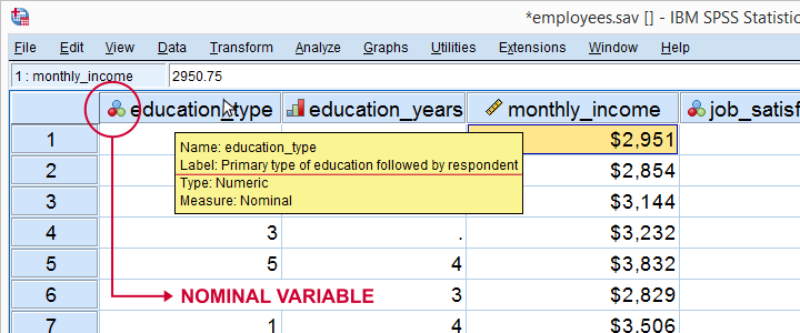 spss-dictionary-information-in-data-view