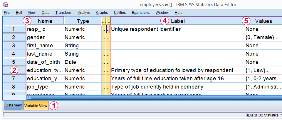 spss-variable-view