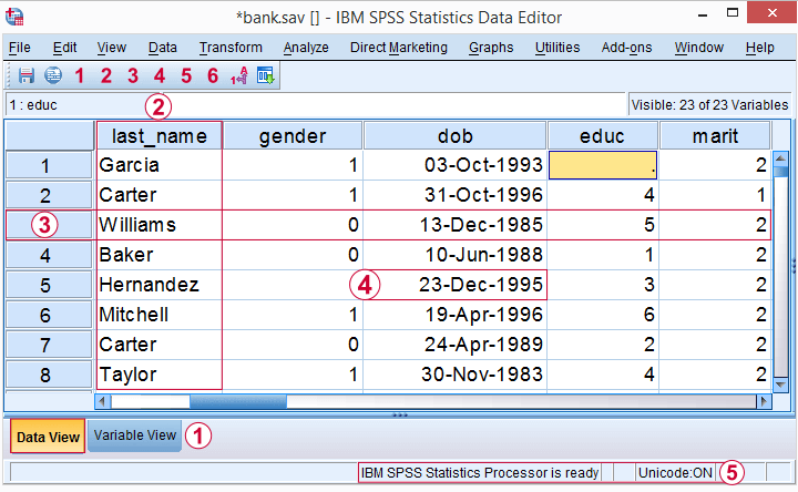 spss-variables-cases-values-in-data-view