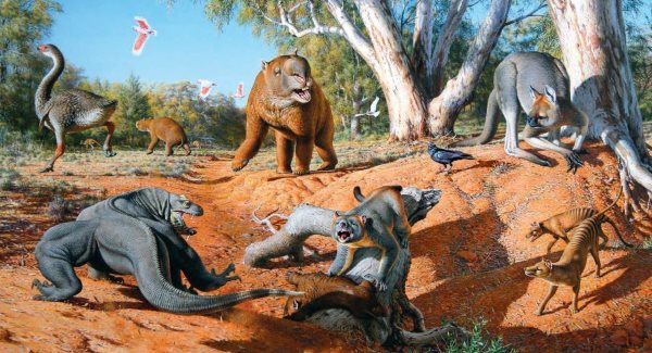 گونه های انقراض یافته در استرالیا