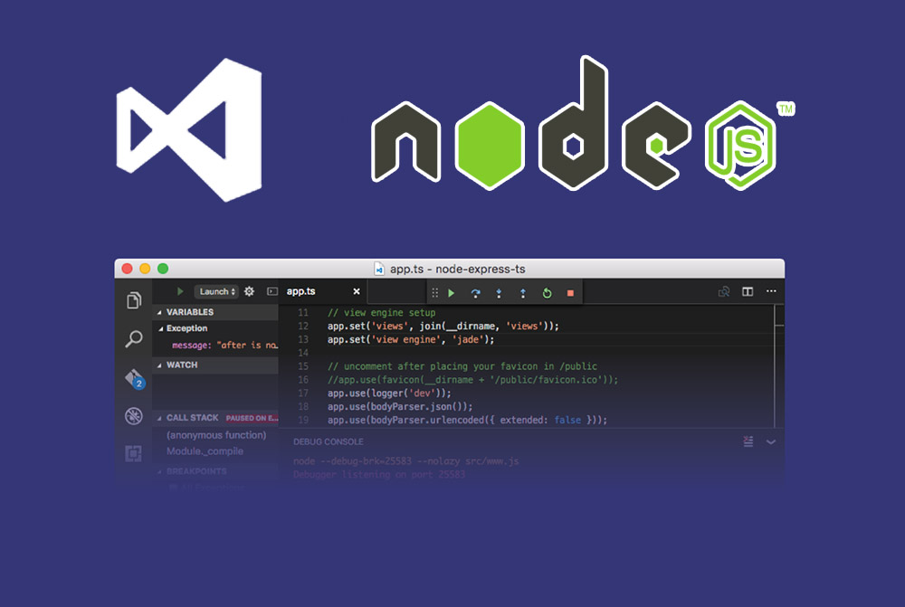 دیباگ کردن Node.js با ویژوال استودیو کد — راهنمای کاربردی