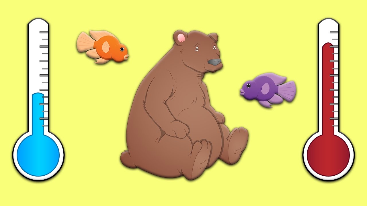 تفاوت های جانداران خونگرم و خونسرد – به زبان ساده