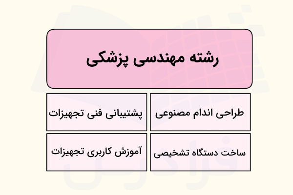 حوزه های فعالیت مهندسی پزشکی
