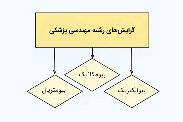 گرایش های رشته مهندسی پزشکی