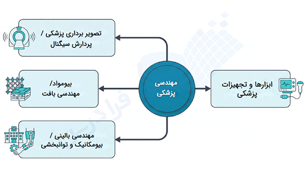 نقشه راه مهندسی پزشکی