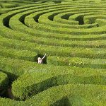 الگوریتم حل ماز (Maze) در جاوا – از صفر تا صد