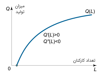 تابع تولید بر حسب تعداد کارکنان