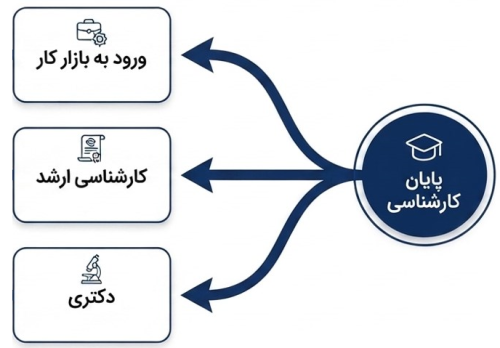 سه شاخه مجزا خروجی از مدرک کارشناسی شامل بازار کار، ارشد و دکتری.