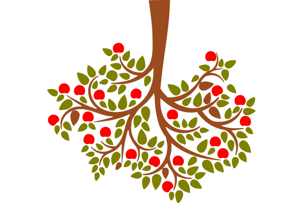 پیاده سازی درخت دودویی در کاتلین (Kotlin) — از صفر تا صد