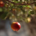 حرکت سقوط آزاد – به زبان ساده