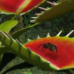 گیاه گوشتخوار – زنگ تفریح [ویدیوی کوتاه علمی]