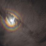 تاج قمری – تصویر نجومی روز