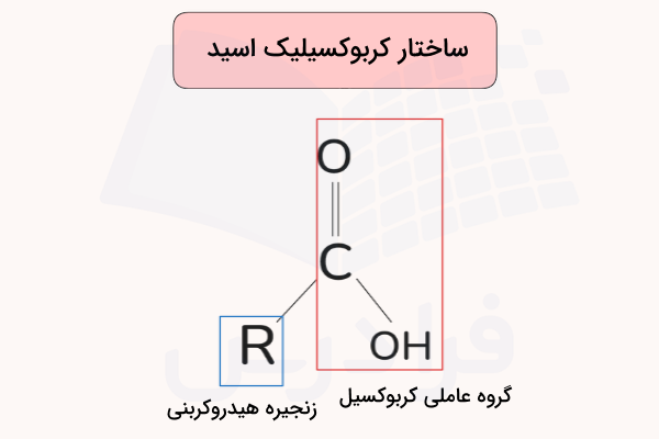 مولکول کربوکسیلیک اسید