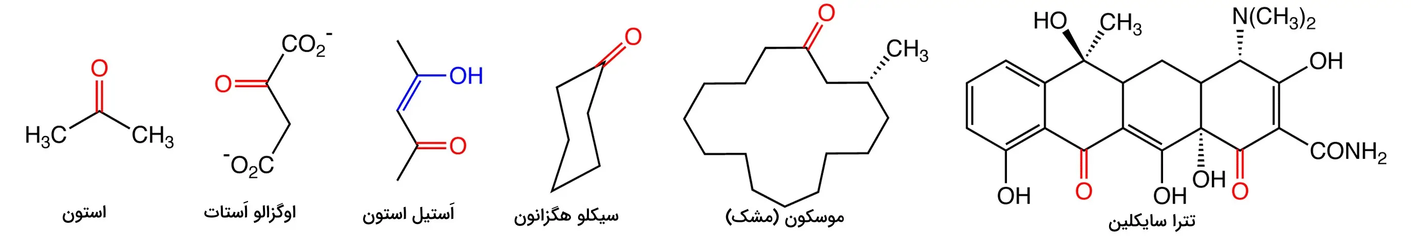 کتون