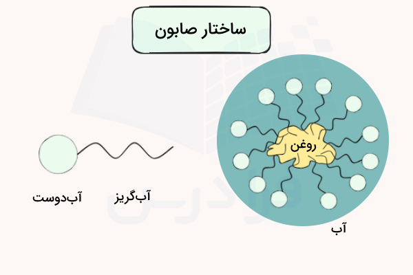 ساختار صابون سر ابدوست و دم آبگریز