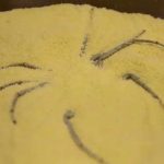 عنکبوت شنی شش چشم – زنگ تفریح [ویدیوی کوتاه علمی]