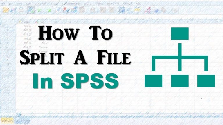 تفکیک فایل داده در SPSS‌ — به زبان ساده