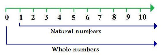 whole_numbers _and_natural_numbers