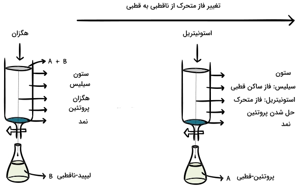 کروماتوگرافی