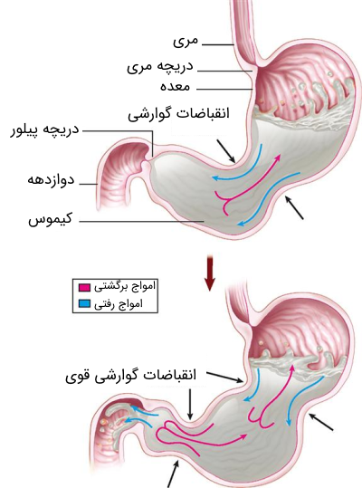 انقباضات گوارشی