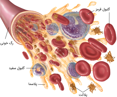سلول‌های خونی