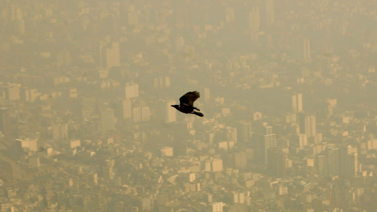 آلودگی هوا -- از صفر تا صد