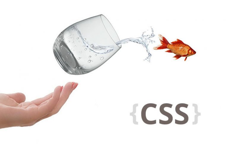 Overflow محتوا در CSS — آموزش CSS (بخش چهاردهم)
