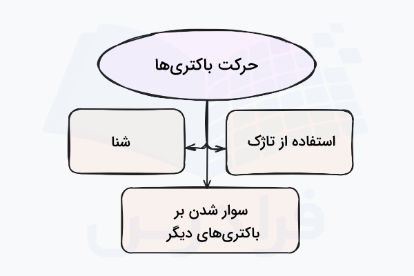 روش های مورد استفاده توسط باکتری ها برای جابه جا شدن