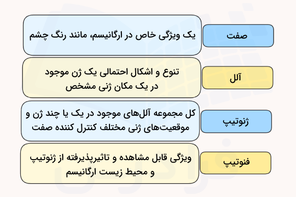 تعریف اصطلاحات صفت، آلل، ژنوتیپ و فنوتیپ - ژن
