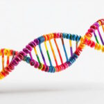 ژن چیست؟ – به زبان ساده