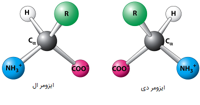 کدام اسید امینه فقط کتوژنیک است