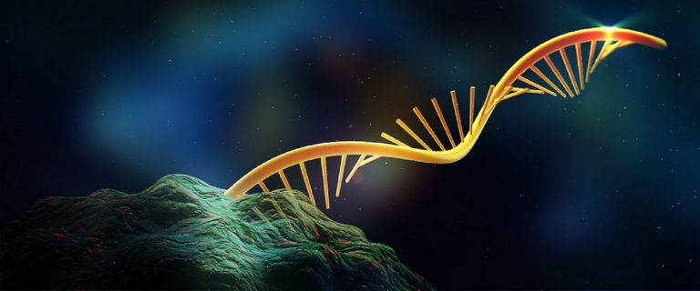 RNA چیست؟ — به زبان ساده