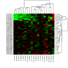 Heatmap