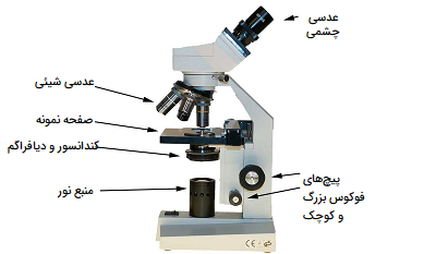 اجزای میکروسکوپ
