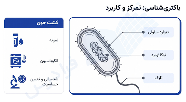 باکتری شناسی