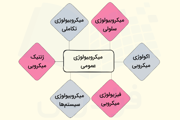 شش شاخه تحقیقاتی میکروبیولوژی عمومی
