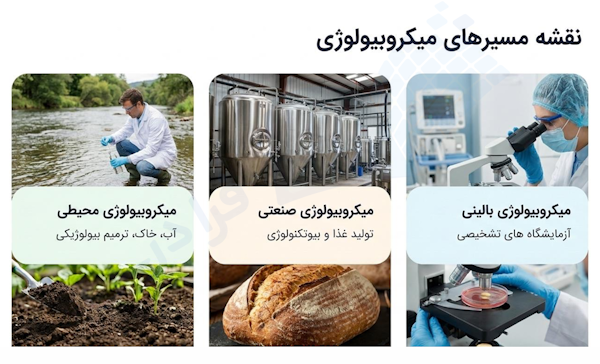 مسیرها برای میکروبیولوژیست